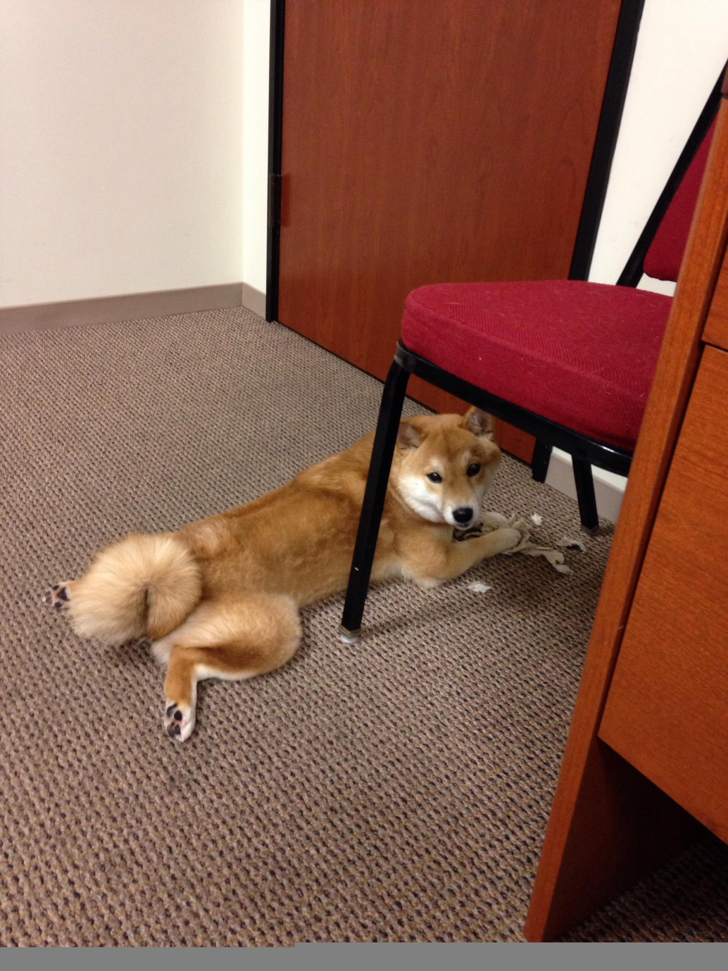 “足球+旅游”新业态在全国多地实施,推动区域经济高质量发展,旅游新业态的表现形式